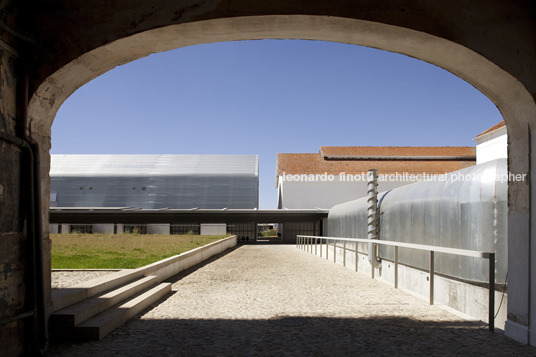 faculdade de artes e arquitectura inês lobo