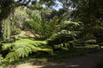 sítio roberto burle marx burle marx