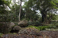 sítio roberto burle marx burle marx