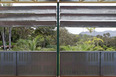 rirkrit tiravanija: palm pavilion - inhotim rirkrit tiravanija