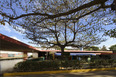 escola francesa oscar niemeyer