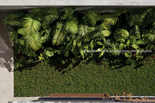 w 305 isay weinfeld