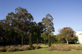 fundação serralves alvaro siza