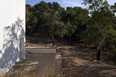 casa no alentejo inês lobo