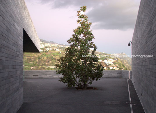 casa das mudas paulo david