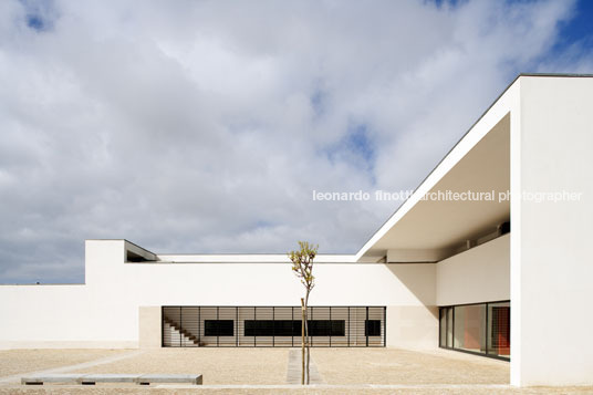 são domingos de rana library joão lucas dias