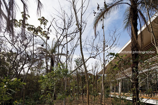 galeria psicoativa tunga - inhotim rizoma arquitetos