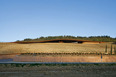 cantina antinori archea