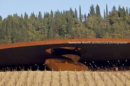 cantina antinori archea