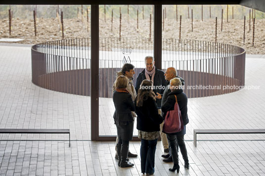 cantina antinori archea