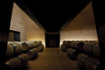 cantina antinori archea