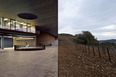 cantina antinori archea