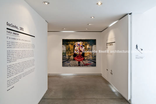 museu da imagem e do som (mis) camila fabrini