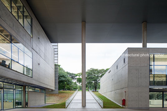 biblioteca brasiliana usp rodrigo mindlin loeb