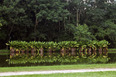 parque da cidade roberto burle marx burle marx