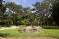 parque da cidade roberto burle marx burle marx