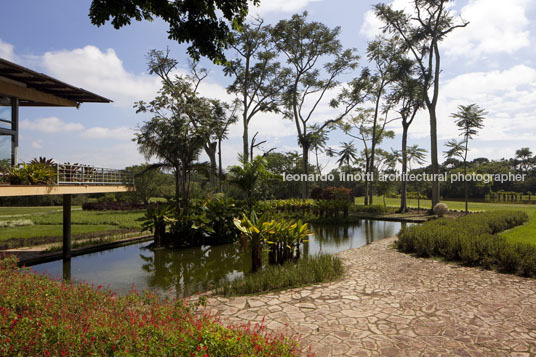 parque da cidade roberto burle marx burle marx