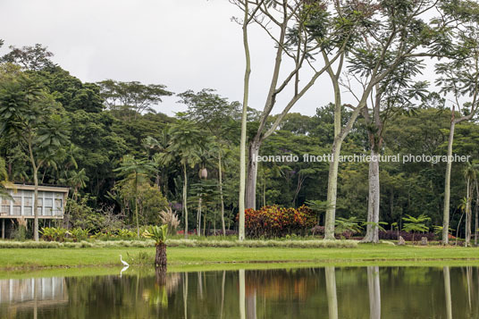 parque da cidade roberto burle marx burle marx