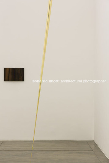 nara roesler gallery gui mattos