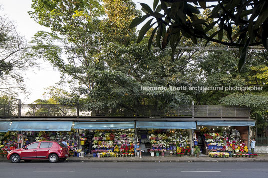 são paulo snapshots several authors