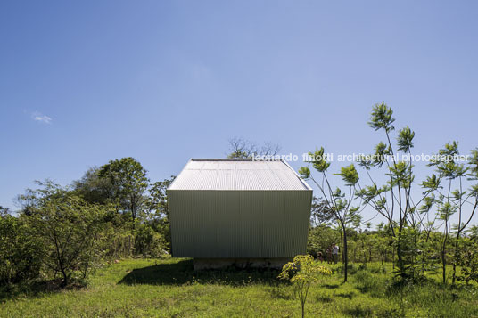 caja obscura javier corvalan