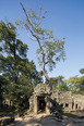 angkor civilization anonymous