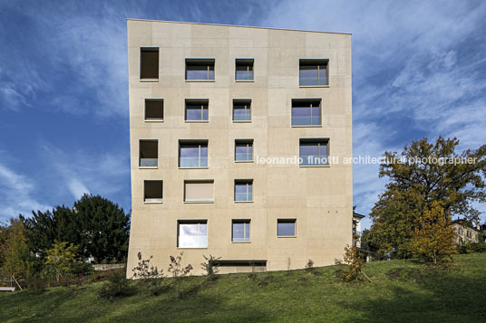 housing at wettsteinpark masswerk architekten