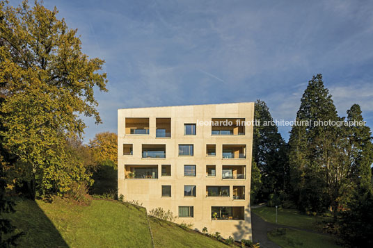 housing at wettsteinpark masswerk architekten