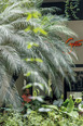 livraria da vila 2 - cidade jardim isay weinfeld