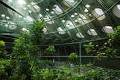 california academy of sciences