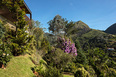 casa da quinta pedro quintanilha