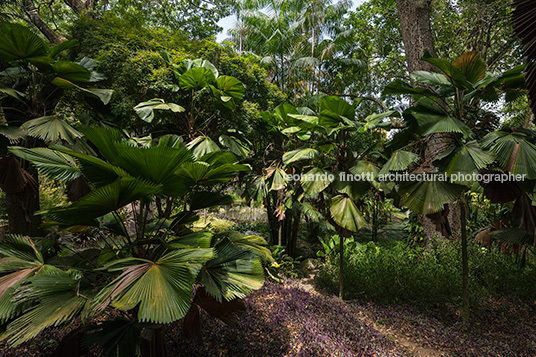 sítio roberto burle marx burle marx