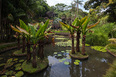 sítio roberto burle marx burle marx