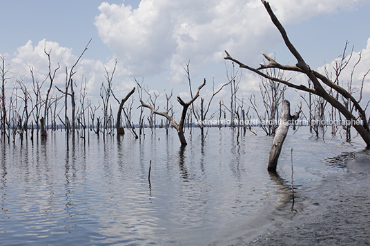 represa de balbina anonymous