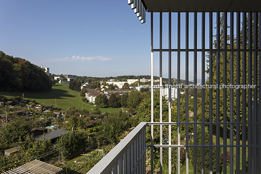 timber house burkhalter sumi architekten