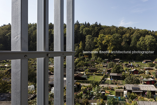 timber house burkhalter sumi architekten