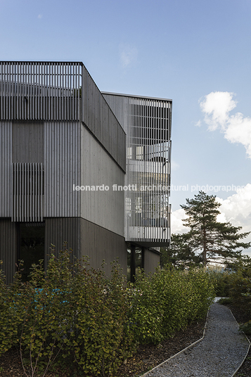 timber house burkhalter sumi architekten