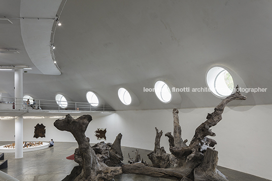 ai weiwei: raiz - oca marcello dantas