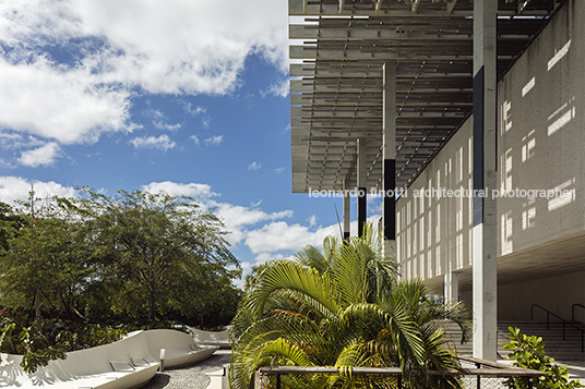 perez art museum miami (pamm) herzog & de meuron