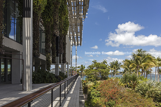 perez art museum miami (pamm) herzog & de meuron