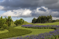 mátria parque de flores ja8 arquitetura e paisagem