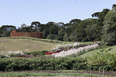 mátria parque de flores ja8 arquitetura e paisagem