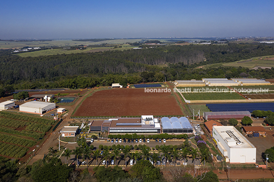 estação experimental syngenta oliveira cotta