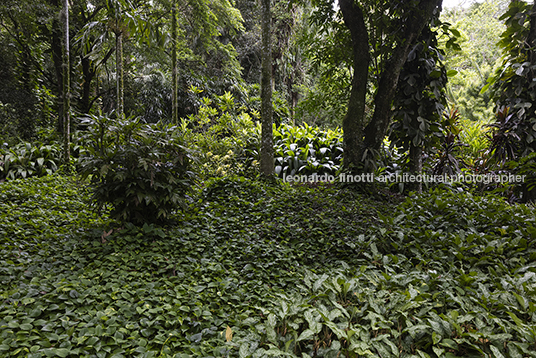 sítio roberto burle marx burle marx