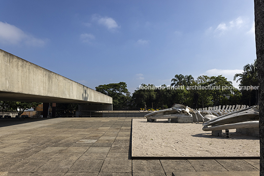 frans krajcberg: por uma arquitetura da natureza - mube diego matos