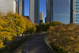 jay pritzker bandshell - millennium park frank o. gehry