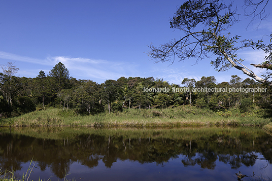 são paulo periphery anonymous