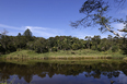 são paulo periphery anonymous