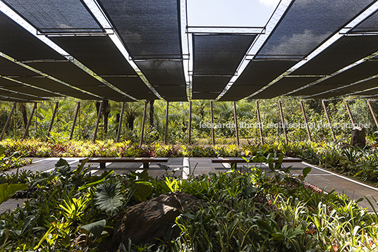 galeria yayoi kusama - inhotim mach arquitetos