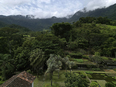 fazenda vargem grande burle marx